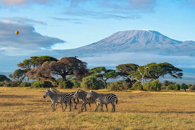 Amboseli National Park