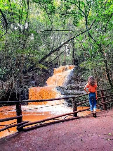 Karura Forest