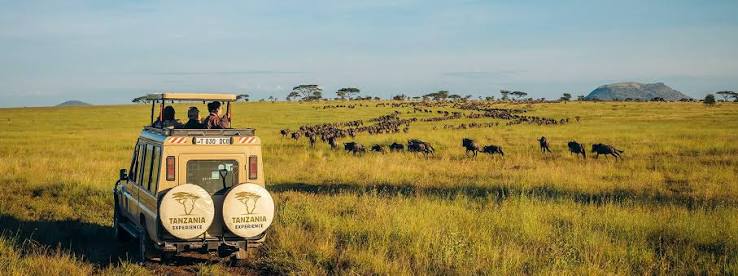 Serengeti